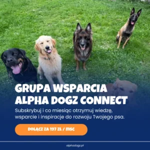 Grupa Wsparcia Alpha Dogz Connect
